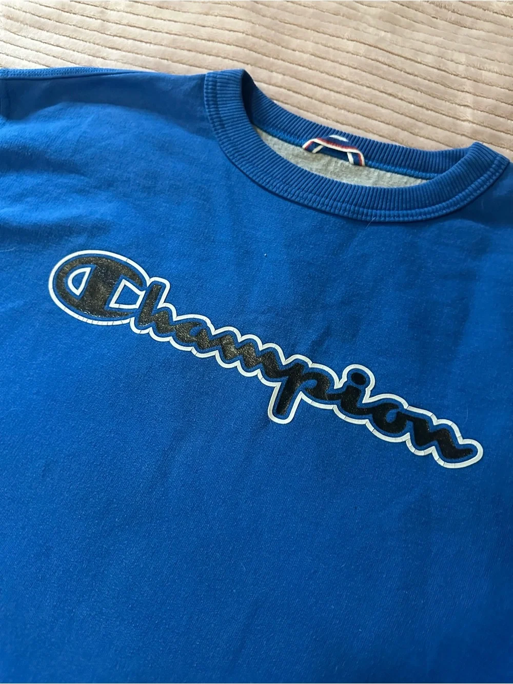 Champion Men's Crewneck Sweatshirt